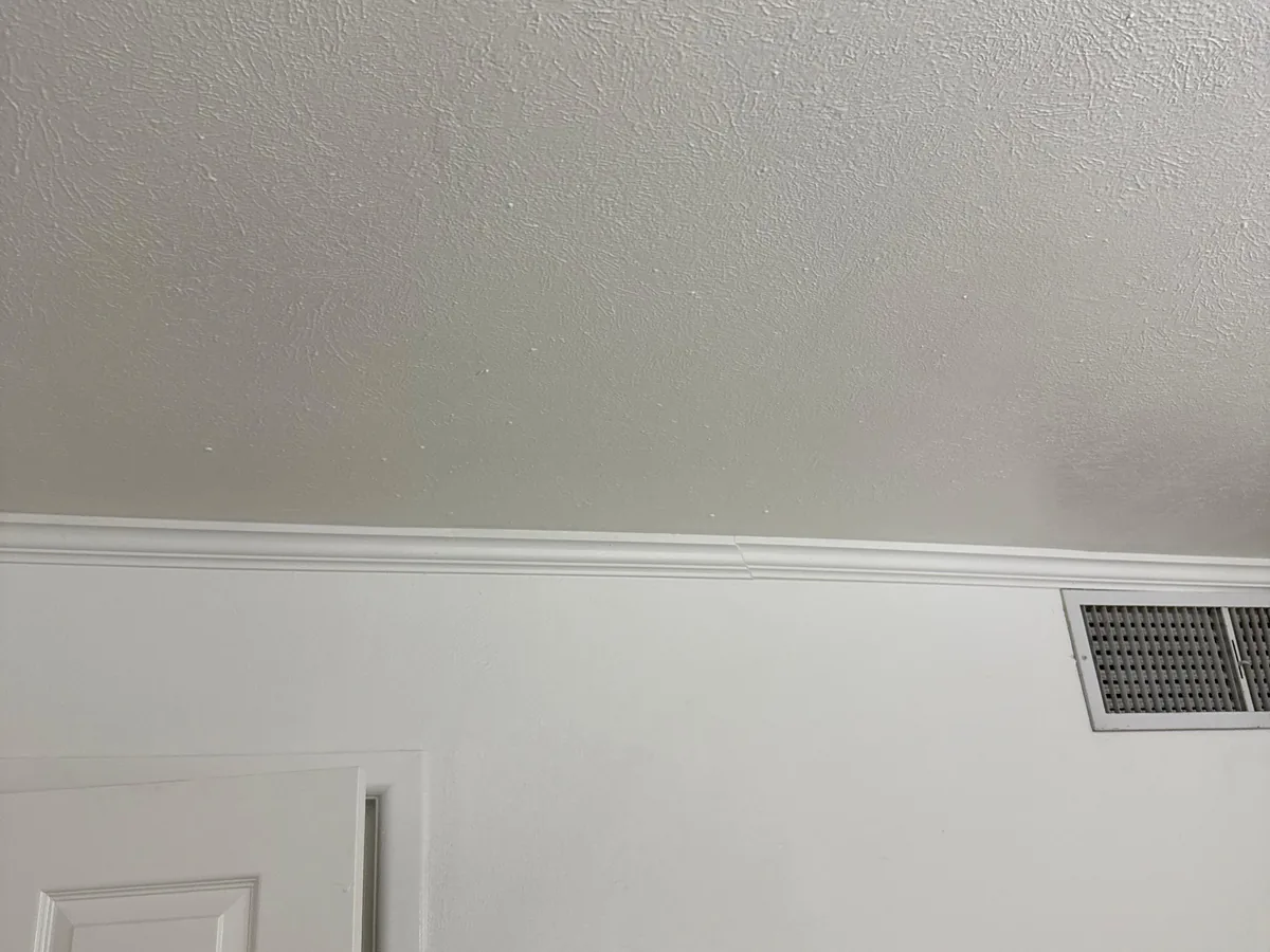 Freshly painted interior wall and ceiling
